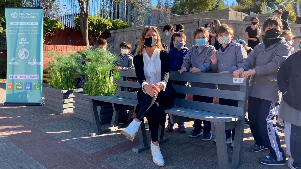 Proyecto Educacionales - foto 1